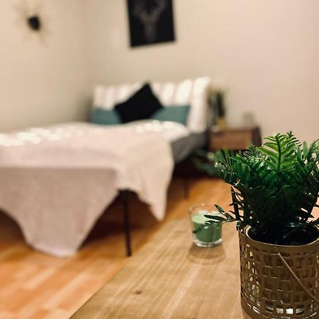 Saniertes Studio - Elisa - Mit Balkon, Wlan, Smart-Tv & Kueche In City-Naehe Ерфурт Екстер'єр фото